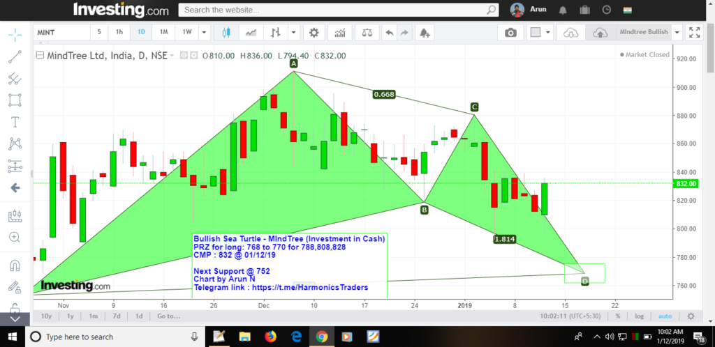 image 3 1024x498 - MindTree - Bullish Sea Turtle