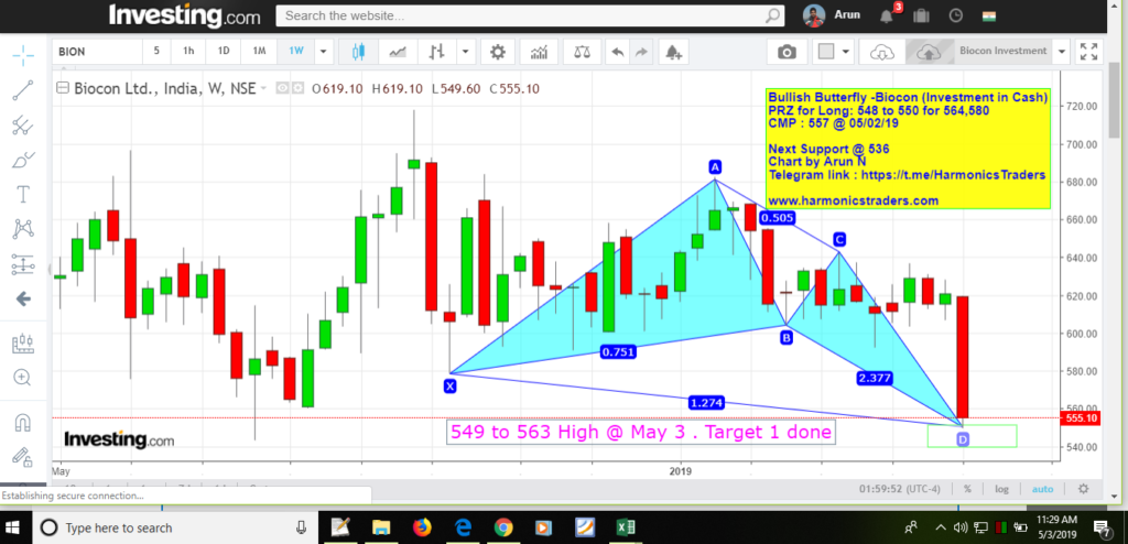 image 13 1024x494 - Bullish Butterfly - Biocon Investment